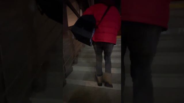 Встречаем котиков ? смотреть онлайн