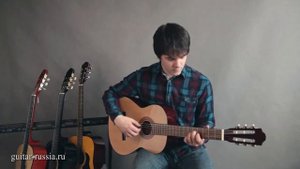 Обзор классической гитары Hohner HC06