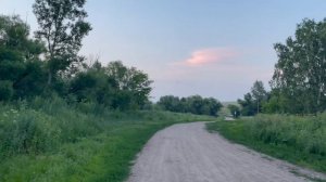 Природа Оренбургская область, деревня, лето 2022г. Nature Orenburg region, village summer....
