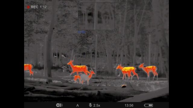 Pulsar Axion XG35 - 640x480 12 micron Next Gen thermal performance смотреть онлайн