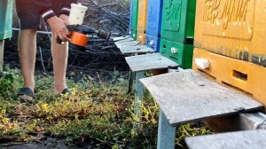 Обработка от клеща дым-пушкой и не только.. Амитраз