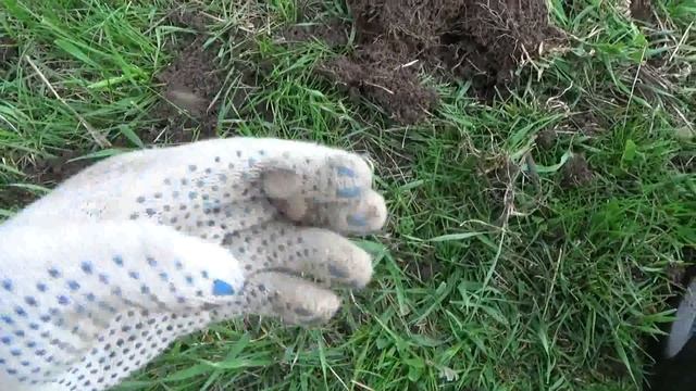 Коп 2017 Комсомол, Александр 1 и Николай 1!!! смотреть онлайн