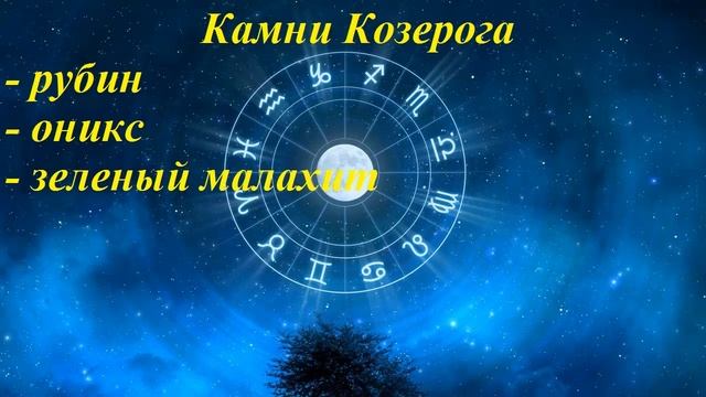 Камни по знакам зодиака. Знак Козерог