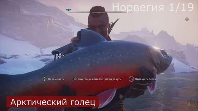 Assassin's Creed_ Valhalla. Все карты рыбы. Good Catch! _ Славный улов!