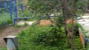 Марта на прогулке