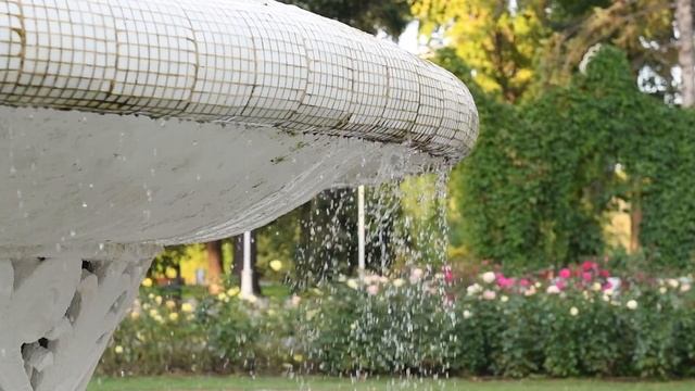 Nikon D850. Замедленная съёмка смотреть онлайн