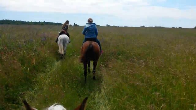 Конная прогулка 2 смотреть онлайн