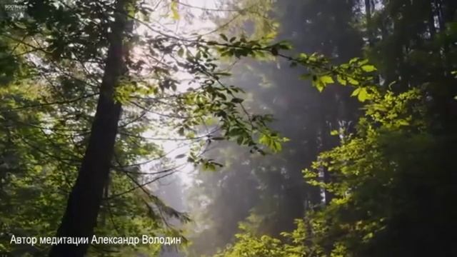 ЛУЧШАЯ #МЕДИТАЦИЯ ДЛЯ НАЧИНАЮЩИХ + РЕКОМЕНДАЦИИ ДЛЯ САМОСТОЯТЕЛЬНОЙ ПРАКТИКИ