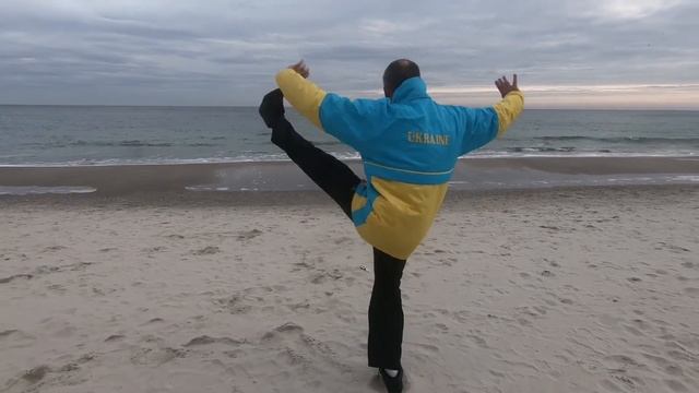 Тайцзи Цюань смотреть онлайн