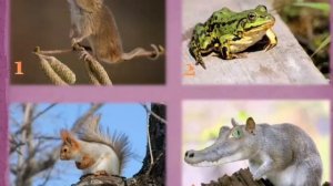 БиблиоОлимп онлайн. Мини-игра по творчеству А.С.Пушкина