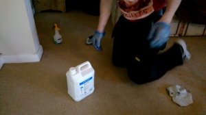 prochem stain pro easy way too remove dirty carpet high traffic marks