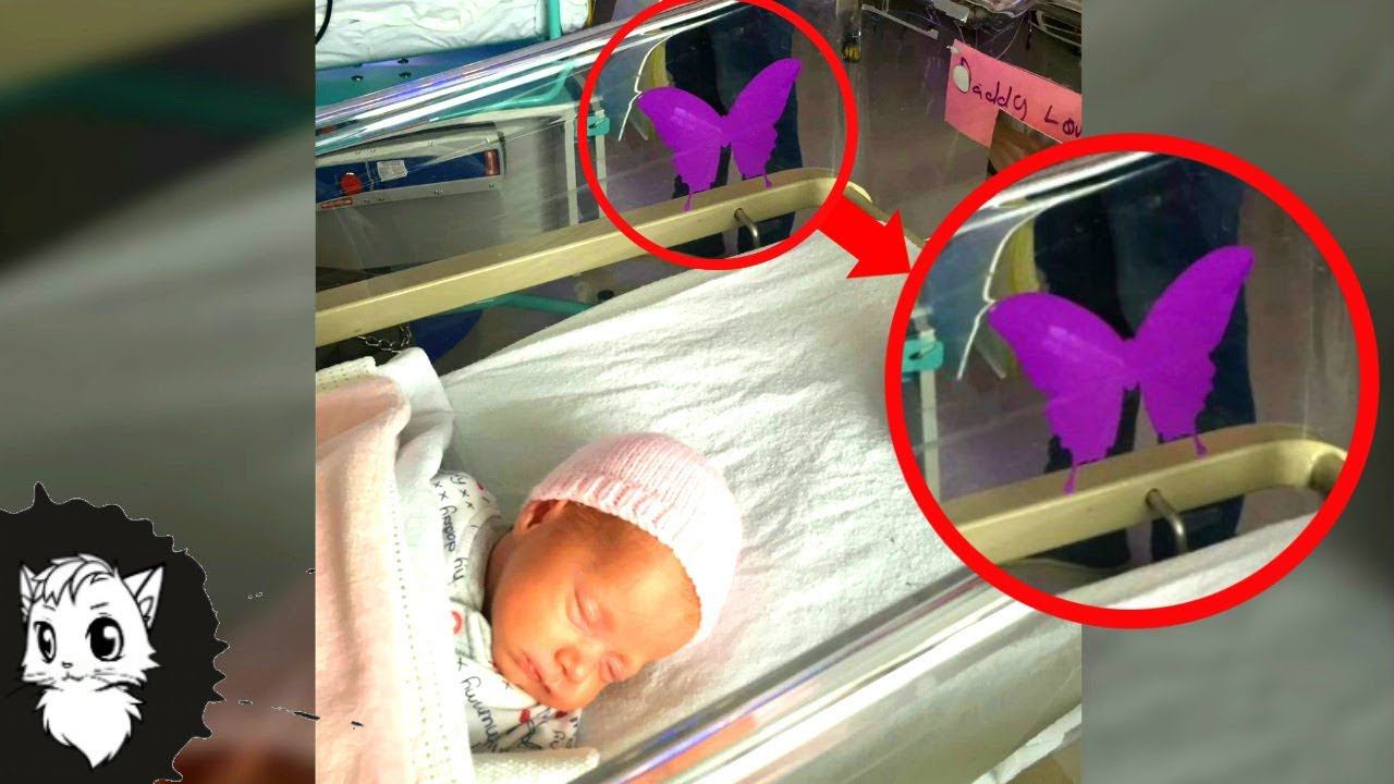 ВОТ ЧТО ОЗНАЧАЕТ ТАКАЯ БАБОЧКА НА ДЕТСКОЙ КРОВАТКЕ [Белый кот] смотреть онлайн