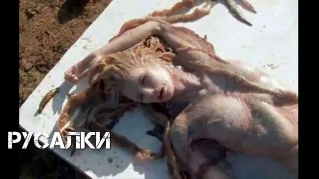 TOP 5,МИФИЧЕСКИХ СУЩЕСТВ,КОТОРЫЕ ВОЗМОЖНО СУЩЕСТВУЮТ