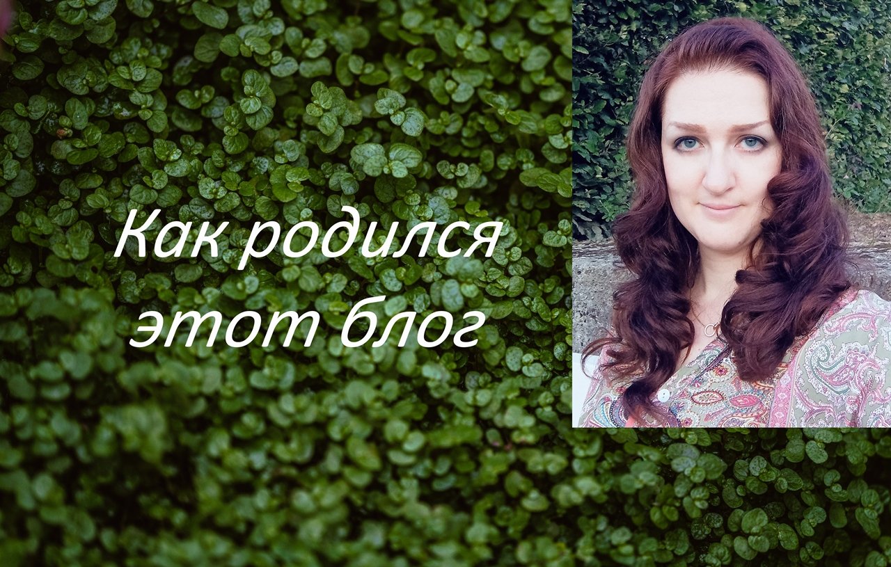 О блоге