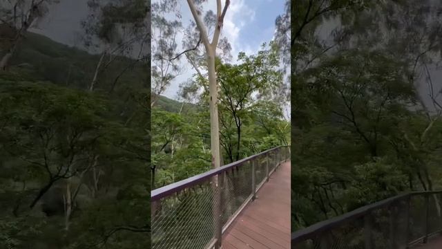 Baiyunshan Scenic Area/ гора байюнь Китай Гуанчжоу смотреть онлайн