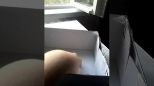 Как сделать камеру Обскура  своими руками