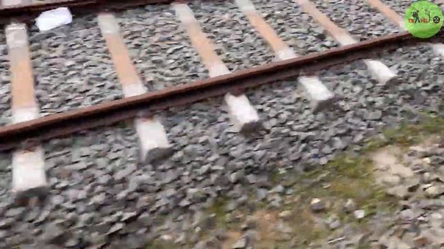 হাওড়া-দীঘা ট্রেন এর সব তথ্য | Digha train time table from Howrah | Digha Tour 2022| # দীঘা ভ্রমণ смотреть онлайн