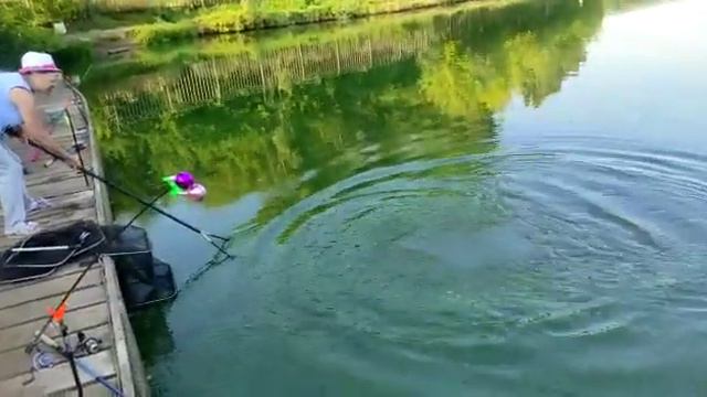 Вываживание крупного Осетра смотреть онлайн