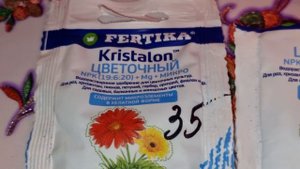 Продолжаю собирать свою коллекцию Пеларгоний)