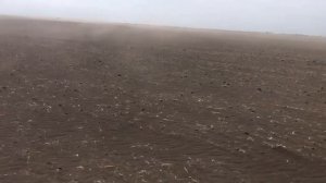 Важно...Крик души!!!