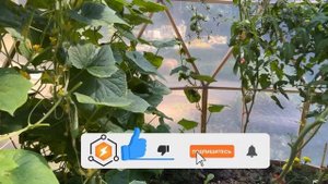 Датчик температуры и влажности в теплицу