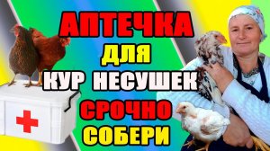 Нужна ли курам аптечка?