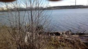 шуваловский карьер