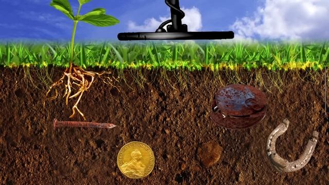 Какой металлоискатель выбрать новичку? Какой купить?