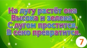 20 ЗЕЛЁНЫХ ЗАГАДОК ДЛЯ САМЫХ УМНЫХ!