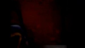 Лучшие испуги животных 2021