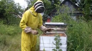 Установка третьего корпуса на улей. Расширение гнезда пчелосемьи.