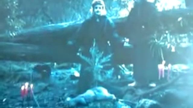 Sarcophilus Satanicus смотреть онлайн