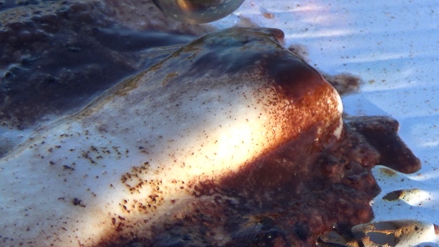 ICE VS GAS TORCH смотреть онлайн