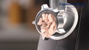 Видеообзор мясорубки Zigmund & Shtain ZMG 007