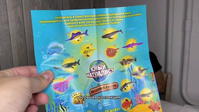 РЫБКА которая меняет ЦВЕТ! Распаковка. смотреть онлайн