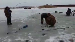 Зимняя рыбалка в Краснодарском крае р.Кочеты,  декабрь 2016 г.