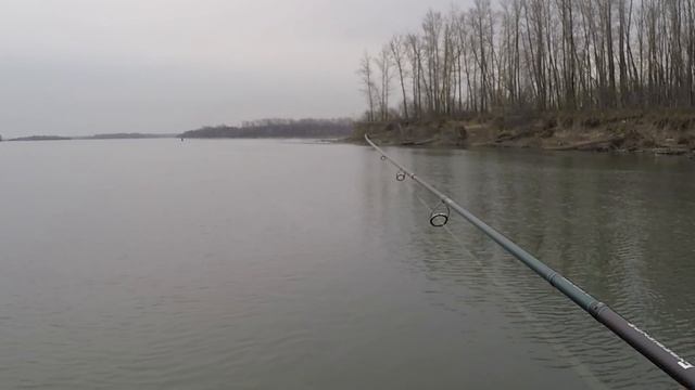 Рыбалка Поздней осенью на реке. НАШЛИ ОГРОМНУЮ СТАЮ РЫБЫ! SVD-market освоил джиг :) смотреть онлайн