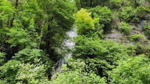 ГОРНАЯ АДЫГЕЯ. ГУАМСКОЕ УЩЕЛЬЕ