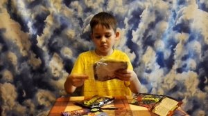 ПАУКИ МАКСИ Распаковка Паук Оса и Австралийский Паук Волк Unboxing Spiders & Co MAXXI Edition