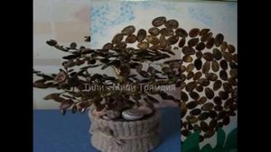 Поделки из арбузных косточек-Идеи интернета