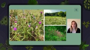 О книге Джона Брукса "Как создать дизайн сада"