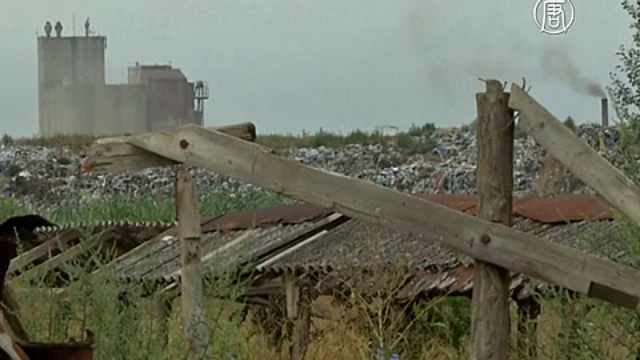 В Сербии наростает гуманитарная катастрофа из-за беженцев смотреть онлайн