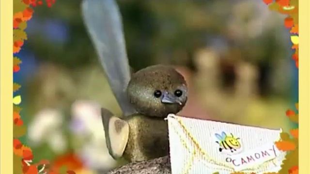 Сказки для самых маленьких 28. Самый скромный — Шишкина школа
