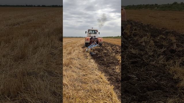 22 avqust 2022(1080P_HD).mp4 смотреть онлайн