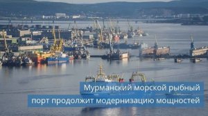 Мурманский рыбный порт продолжит модернизацию / Новые склады появятся в Волгоградской области