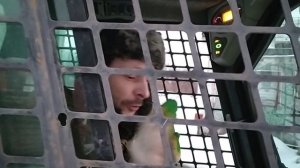 Тестируем универсальный движитель Часть 5