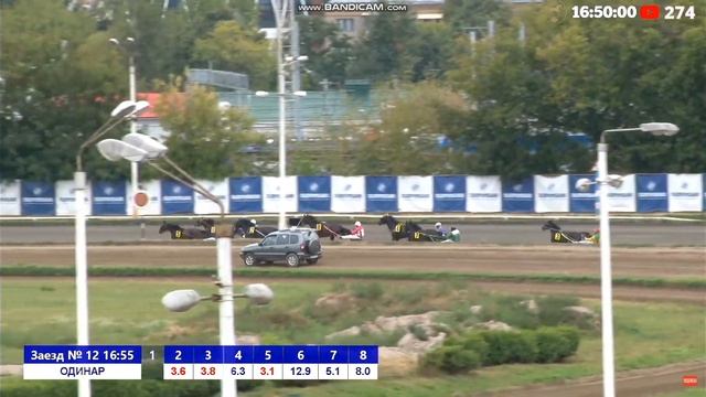 11.09.2022г. Москва Жеребцы и Кобылы 3-х лет Рысистых пород 1600м смотреть онлайн