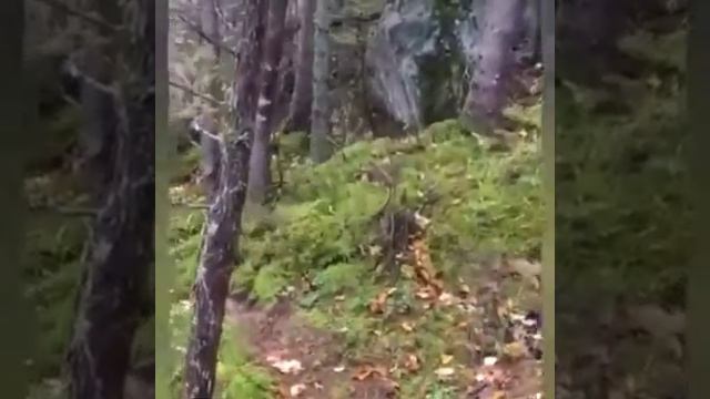 Стихийные бедствия