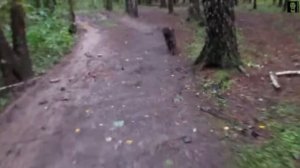 Машка в лесу