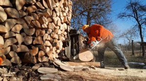 Husqvarna 562 XP and Stihl MS 661 C new video 2020.